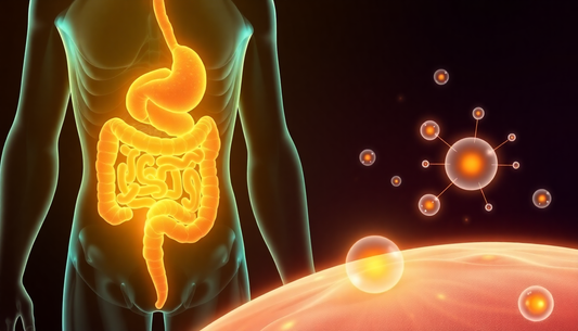 The Connection Between Gut Health and Skin Glow