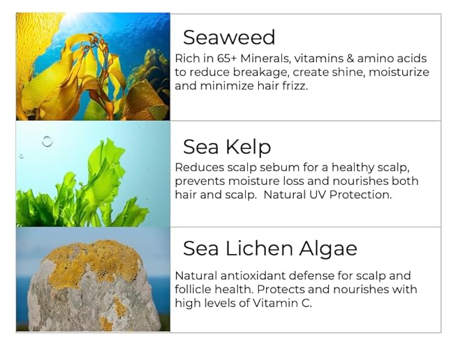 Leave-In Conditioner, 8.5 fl. Oz/250ml - Seaweed, Kelp & Algae Enriched Detangle & Shine Hair Treatment -Ideal For Frizzy and All Hair Type , Protects Scalp