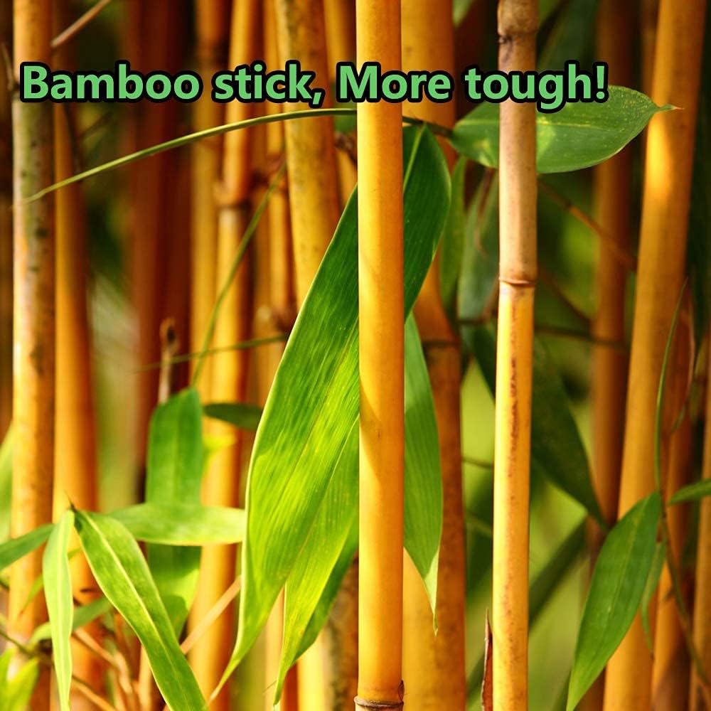 2400pcs Precision Tip Cotton Swabs for Makeup, Bamboo Sticks and Double Pointed