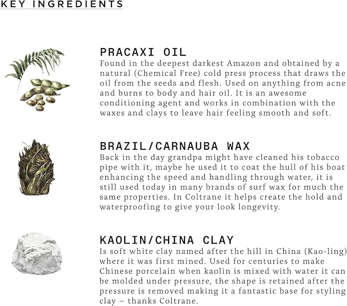 TRIUMPH & DISASTER Coltrane Hair Clay Pomade – Medium Hold, Matte Finish Styling Paste for Men and Women with Smoky Earth Scent, 65g