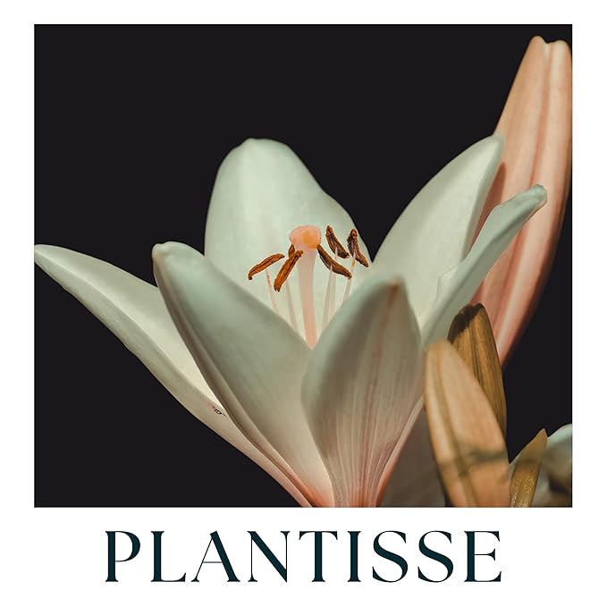 AGELESS NIGHT CREAM: Anti Aging Face Cream, Creme Riche, Hyaluronic Acid, Bakuchiol Retinol Alternative, Matrixyl 3000, Squalane, High And Low Molecular Weight Hyaluronic Acid.