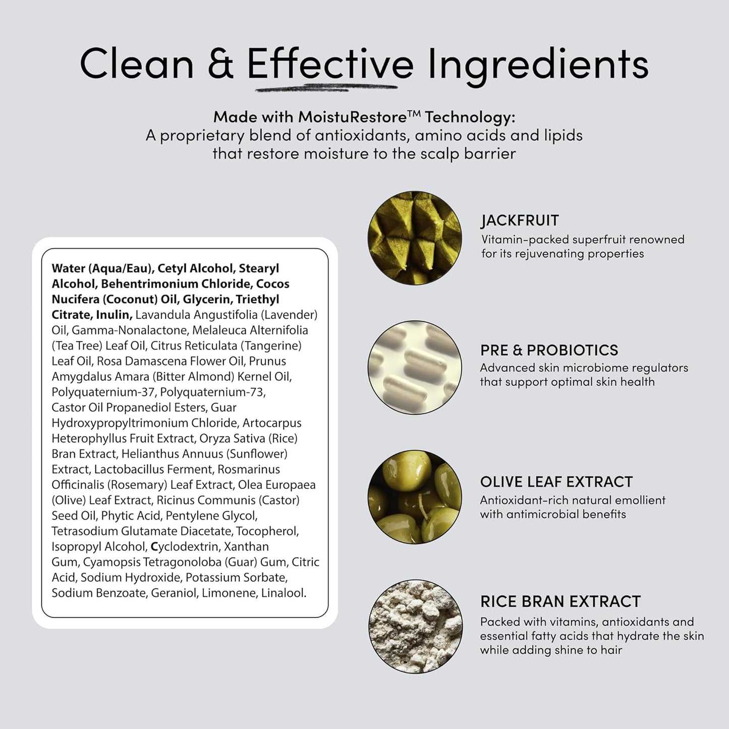 Jupiter Deep Moisturizing Conditioner – Moisturizing, Nourishing, and Strengthening Hair Care – Daily Scalp & Hair Hydration for Silky Strands – Color-Safe, Sulfate-Free, Paraben-Free, 9.5 fl. oz.