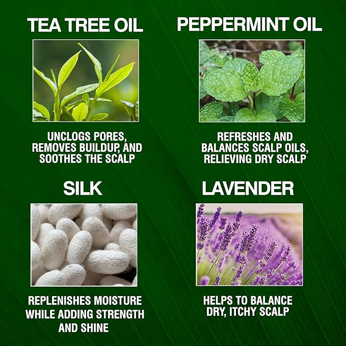 CHI Tea Tree Oil Conditioner, Refreshing, Lightweight Conditioner For Nourishing & Rejuvenating Hair, Sulfate, Paraben, & Cruelty-Free, 11.5 Oz