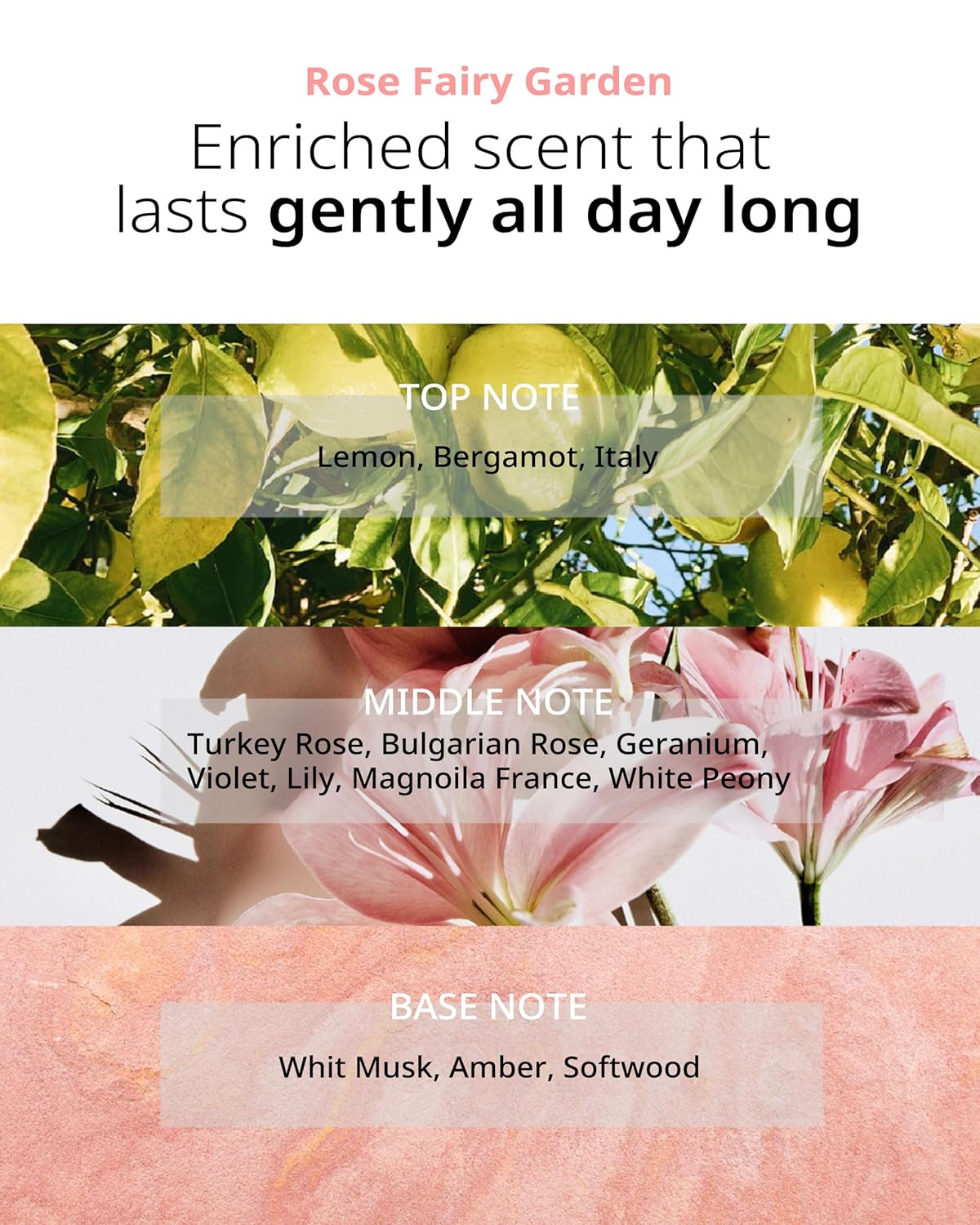 TAENG TAENG Elasticity Hair Conditioner - pH 5.5 Keratin & Protein Perfumed Conditioner for Thicker, Fuller Looking Hair - Rose Garden Scent - Paraben Free - 17 fl.oz