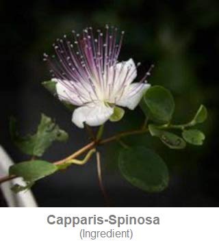 Ultra Sensitive Mask