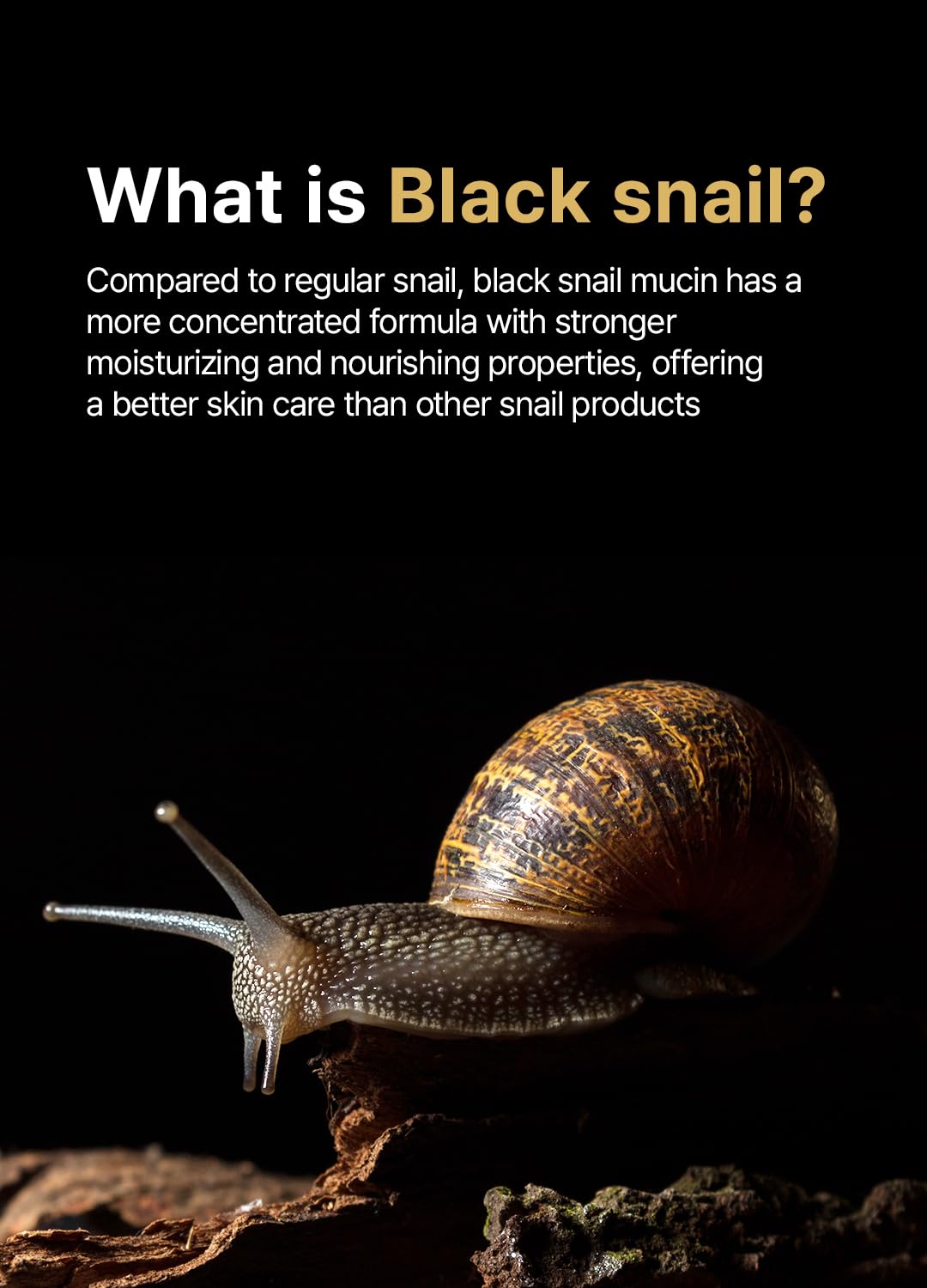 Farmstay Black Snail & Peptide 9 Perfect Facial & Neck Roller Serum – Firming & Lifting, Deep Hydration & Skin Elasticity, Snail Mucin & 9 Peptides for Youthful Glow & Smooth Skin, 100ml