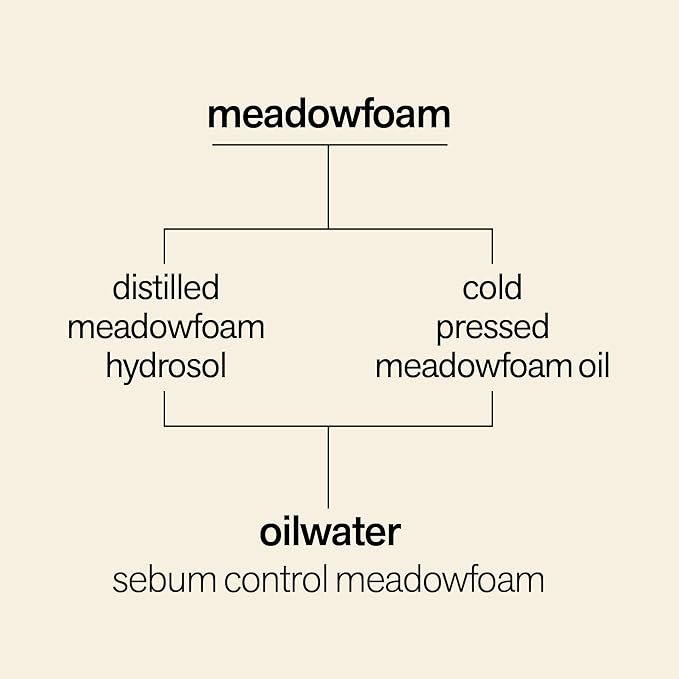 Facewater Oilwater Sebum Control Meadowfoam