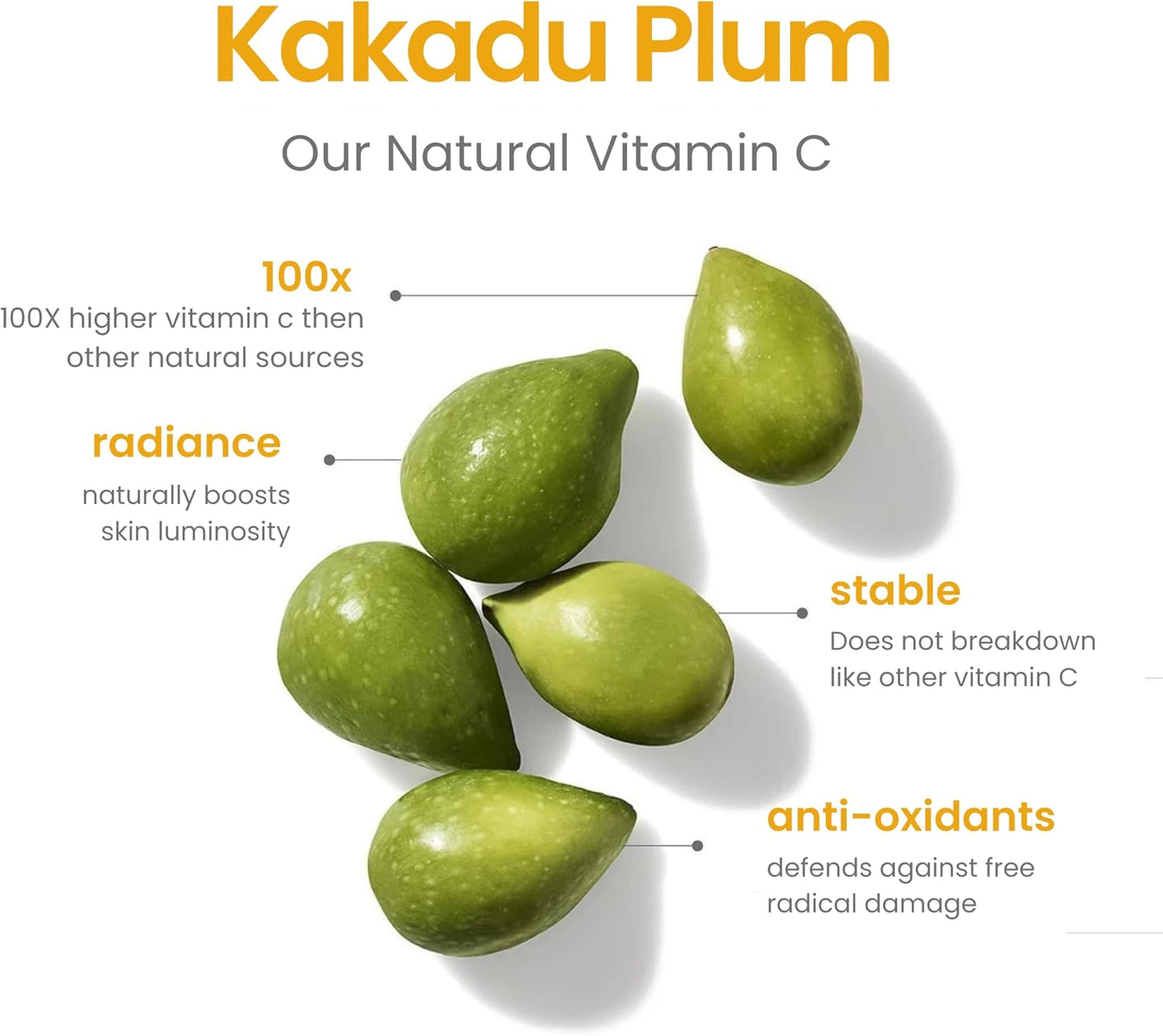 C-Brilliance Vitamin C Toner for Face Daily Witch Hazel Facial Astringent with Kakadu Plum and Bilberry Fruit 8 oz Vegan, Fragrance Free