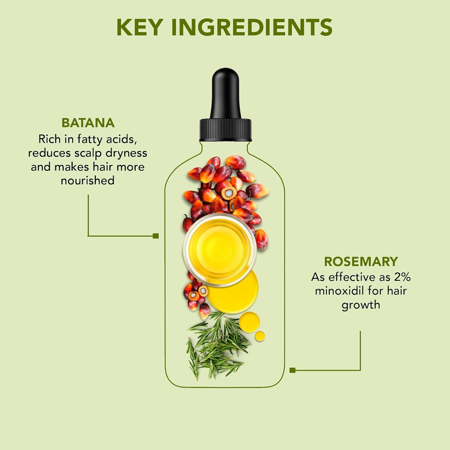 Botanic Hearth 100% Pure Rosemary Batana Hair Oil (2fl oz) with Biotin |Hair Oil Repairs Dry Damaged Hair, Strengthening, Healthier Hair- Hair Tonic