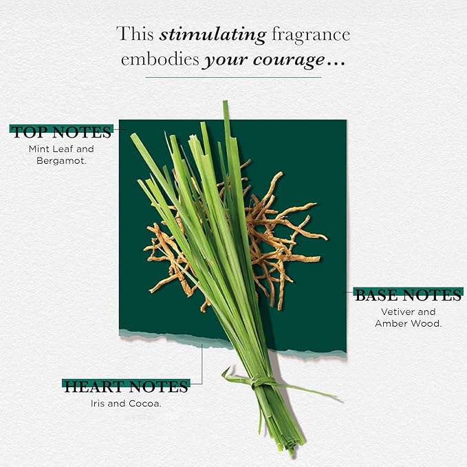 SOLINOTES Vetiver Perfume for Men - Eau De Parfum | Bold and Sensual Adventure - Made in France - Vegan - 1.7 fl.oz