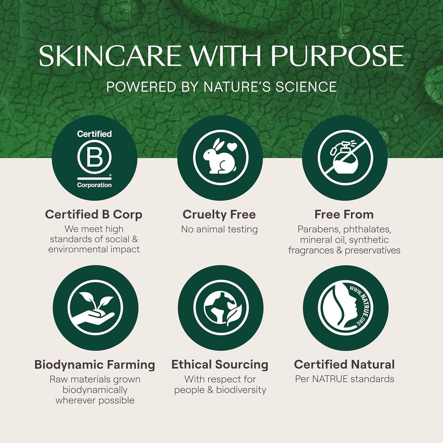 Weleda Skin Food Face Care Nourishing Day Cream, 1.3 Fluid Ounce, Plant Rich Moisturizer with Olive Leaf Extract, Squalane and Chamomile