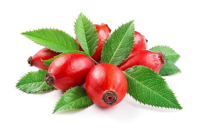 OPO Rosehip Oil - 8 oz - Pure, Unrefined, Non GMO, Cold Pressed, Vegan Carrier Oil for Face, Hair, Skin, Nails, Body Aging Skin Beard Locs Mustache Lashes - Packaging May Vary